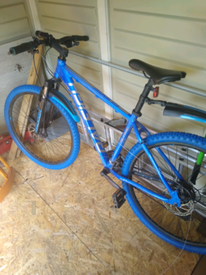 raleigh surge mountain bike